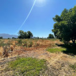 arboles-entorno-vista-valle-hermosa-parcela-en-venta-agua