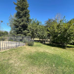 verdes-jardines-arboles-nativos-paisaje-vista-cordillera-paine-parcela