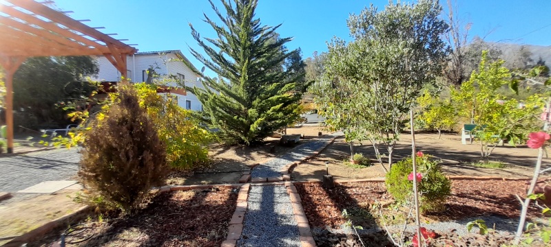 jardines-bosque-nativo-pre-cordillera-paine