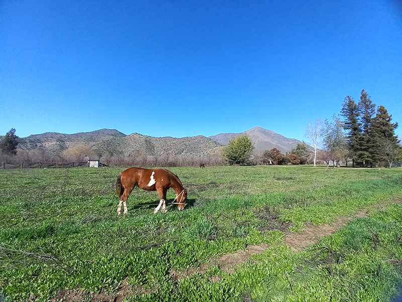 parcelas-avenida-romero-5000m2