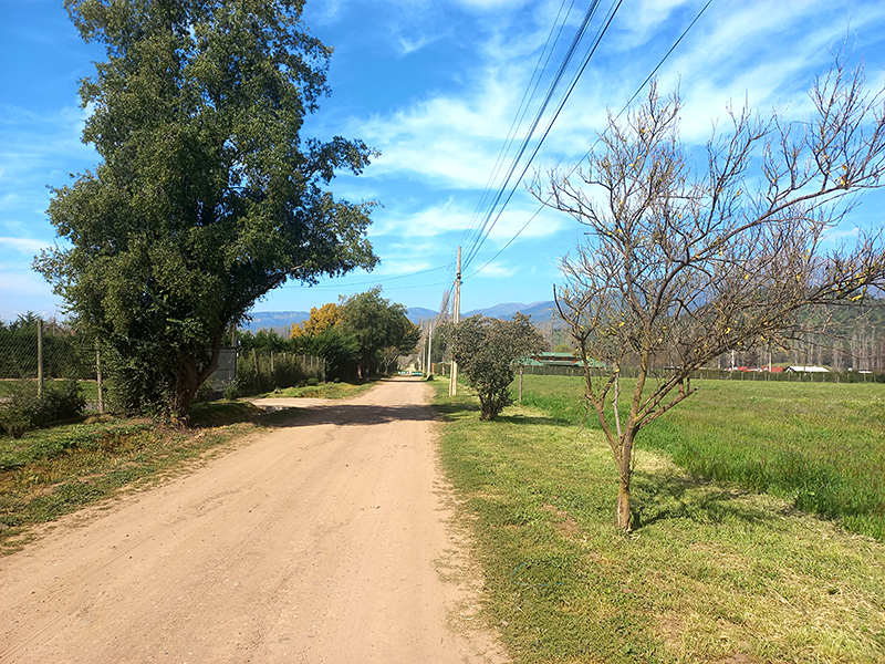 amplios-caminos-asfaltados-condominio-privado-aculeo