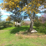 casa-de-muneca-jardines-paine-aculeo