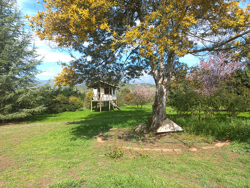 casa-de-muneca-jardines-paine-aculeo