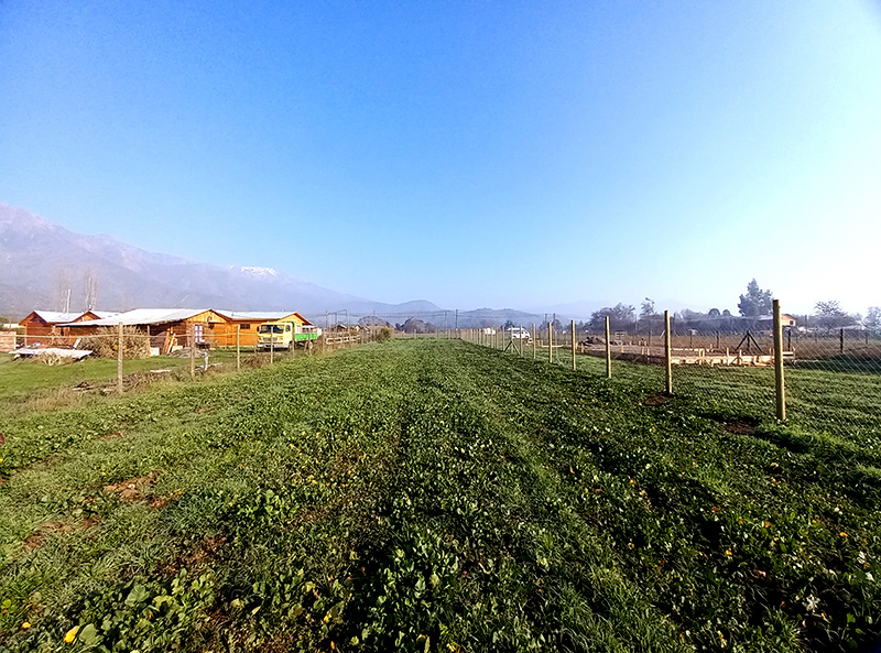 los-hornos-km17-aculeo-venta-terreno-980m2