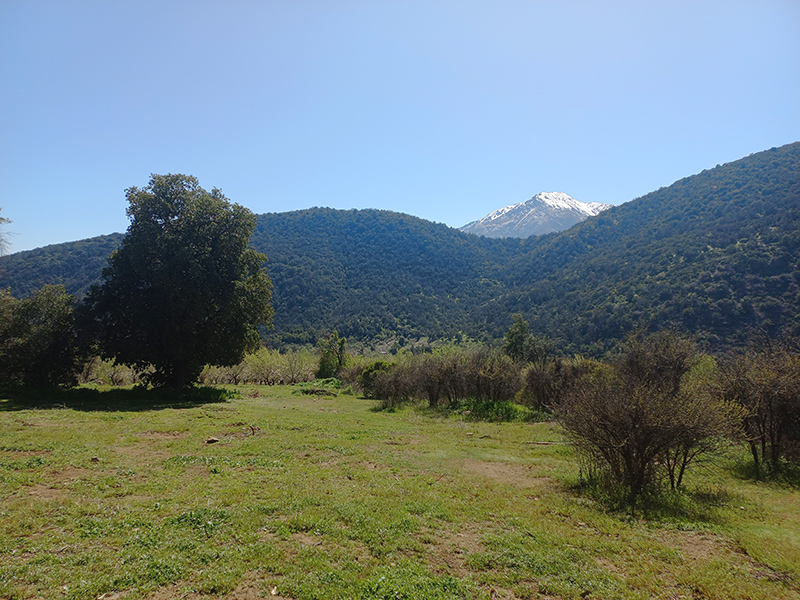 parcelacion-agro-residencia-la-leonera-codegua-40min-santiago