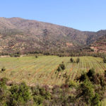 valle-leonera-escondido-exclusivo