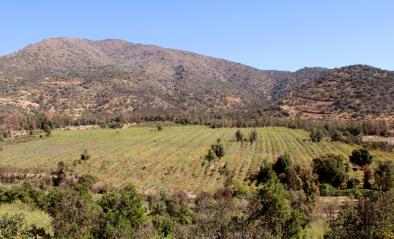 valle-leonera-escondido-exclusivo