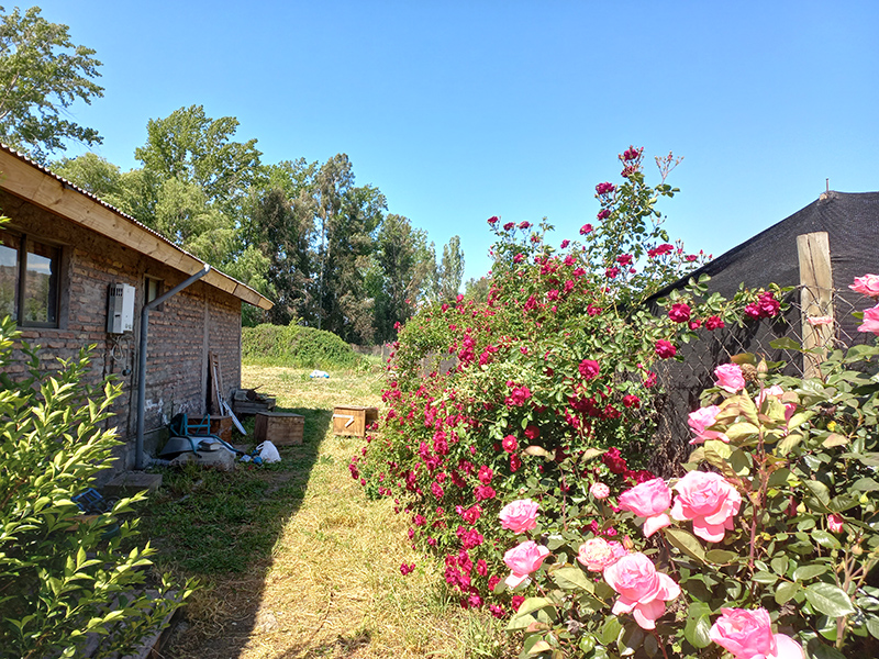 jardin-rosas-casa-amplia-arriendo-3-dormitorios-paine-vinculo-abrantes