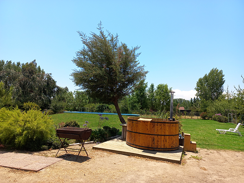 hermoso-patio-arboles-paisajismo-frutales