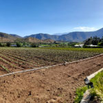 parcela-en-venta-paine-propiedades-hacienda-chada