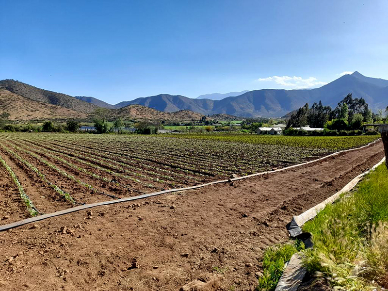 parcela-en-venta-paine-propiedades-hacienda-chada