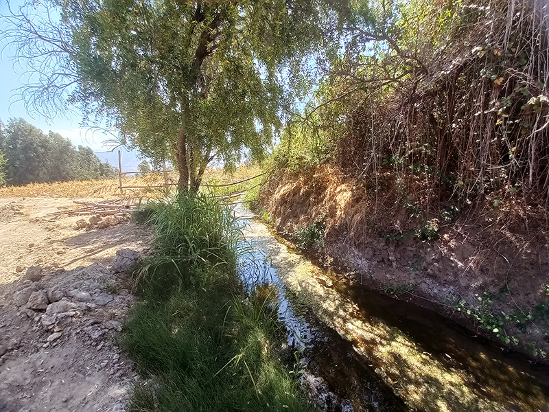 mucha-agua-hacienda-chada