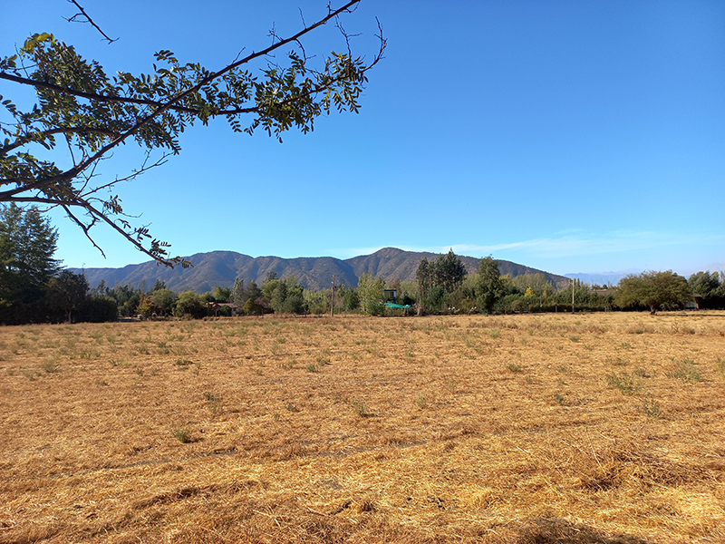 lindas-hermosas-parcelas-en-venta-condominio-el-castano-aculeo