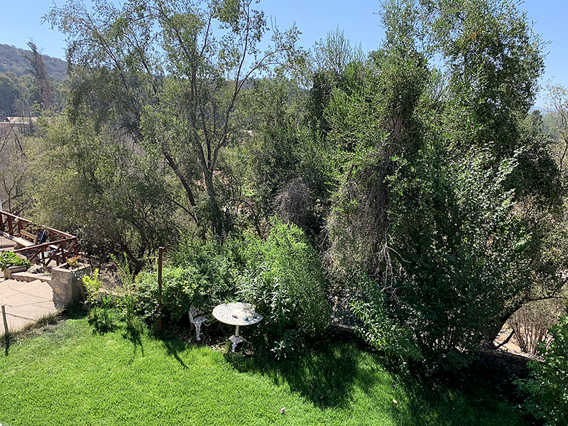 lindo-patio-bosque-casa-solida-ampios-espacios-lomasdel-aguila