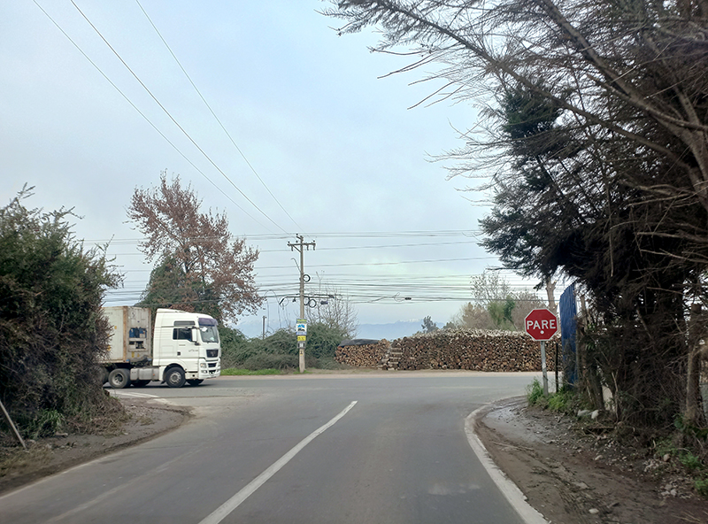 cruce-tortolas-viluco-buin