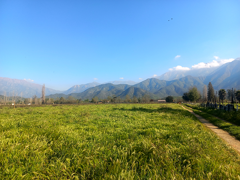 con-orilla-de-laguna-parcelas-de-10000m2