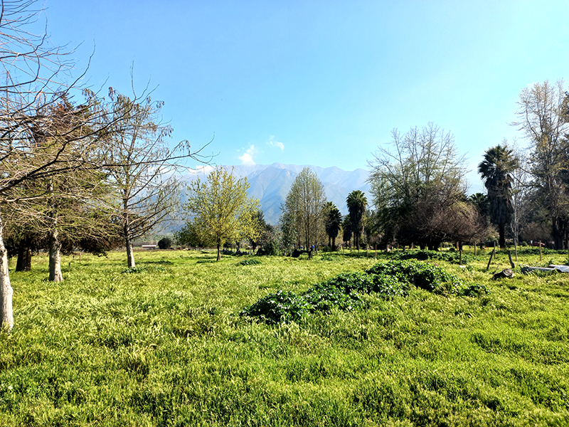 una-hectarea-laguna-de-aculeo