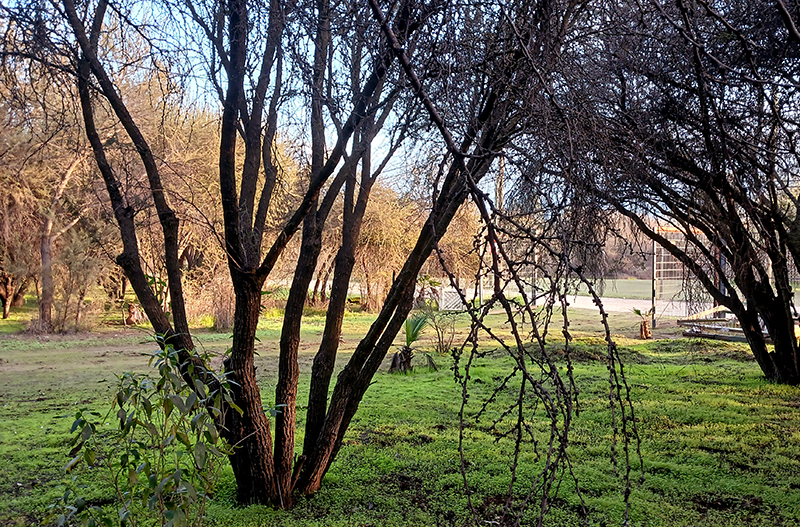 parcela-paine-san-francisco-de-aculeo