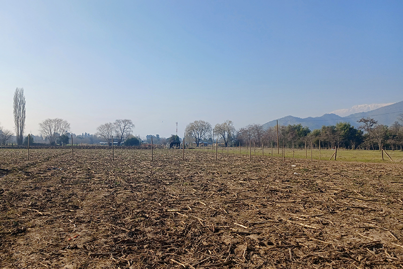 terrenos-1000m2-colonia-kennedy-autopista-ruta-5